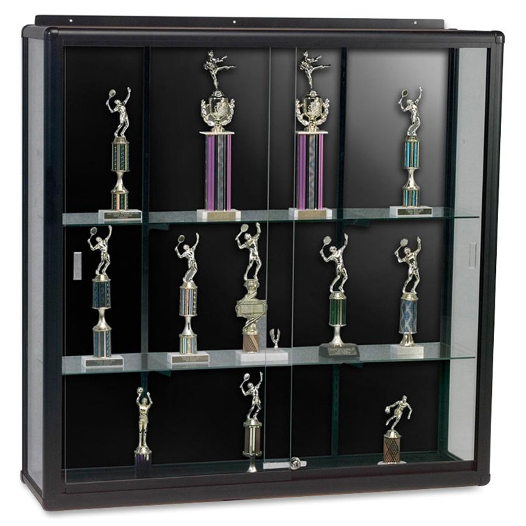 MooreCo Series 90 48'' H Metal Display Cases Wayfair